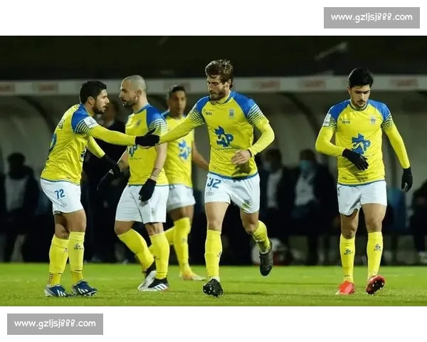 里奥阿维主场迎战波尔蒂芒赛季关键对决前瞻分析葡超焦点之战全面解读