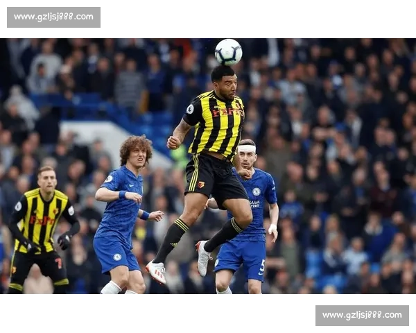 英超焦点战水晶宫主场迎战沃特福德攻防对决走势解析赛季关键较量