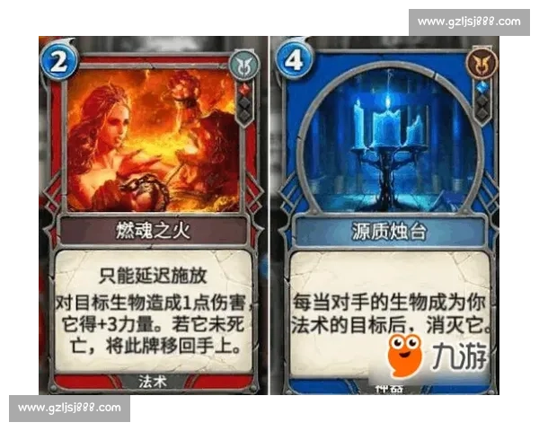 人类与袋鼠力量速度与智慧对决的极限生存想象实验全解析前瞻推演